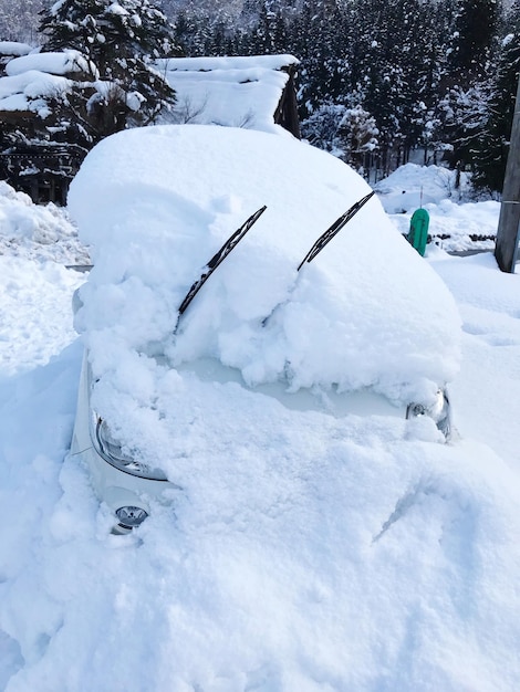 Sneeuw op het veld