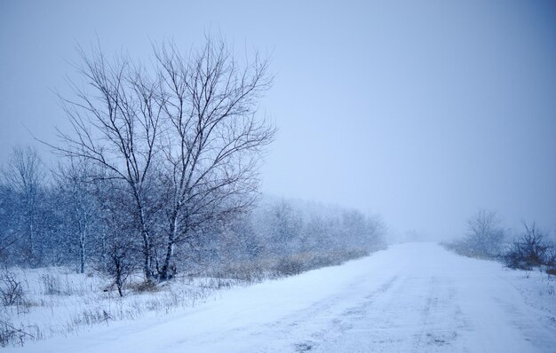 Sneeuw waait over de weg in blizzard-omstandigheden.