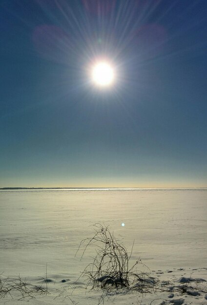 Sneeuwbedekt landschap op een zonnige dag