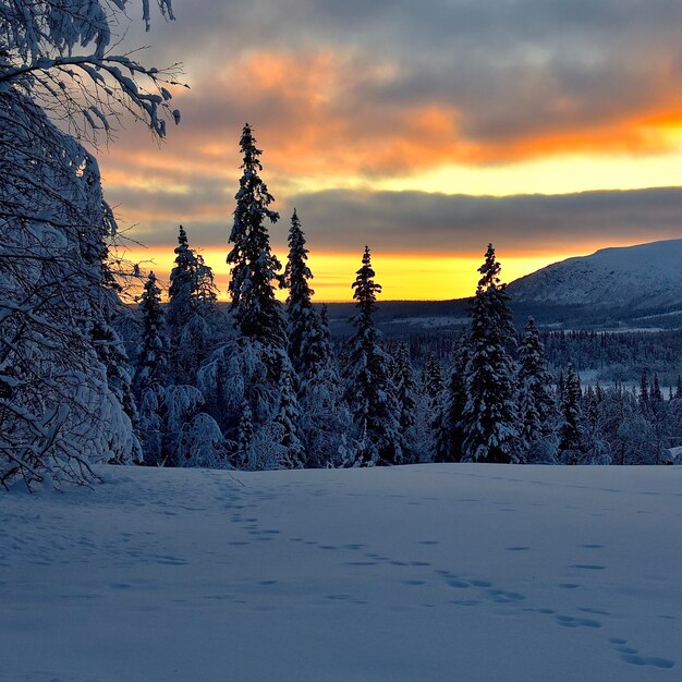 Foto sneeuwbedekt landschap tegen de hemel bij zonsondergang