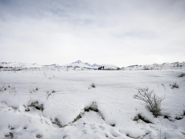 Sneeuwbedekt landschap tegen de lucht