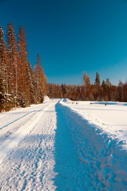 Sneeuwbedekt landschap tegen een heldere blauwe hemel