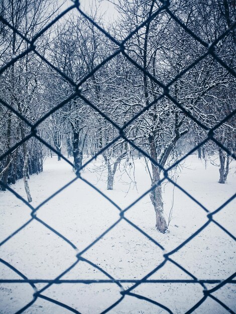 Sneeuwbedekt veld gezien door een kettinghek