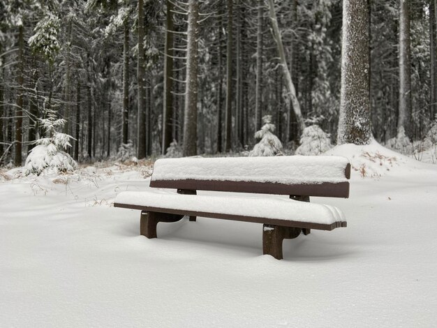 Foto sneeuwbedekte bank in het park