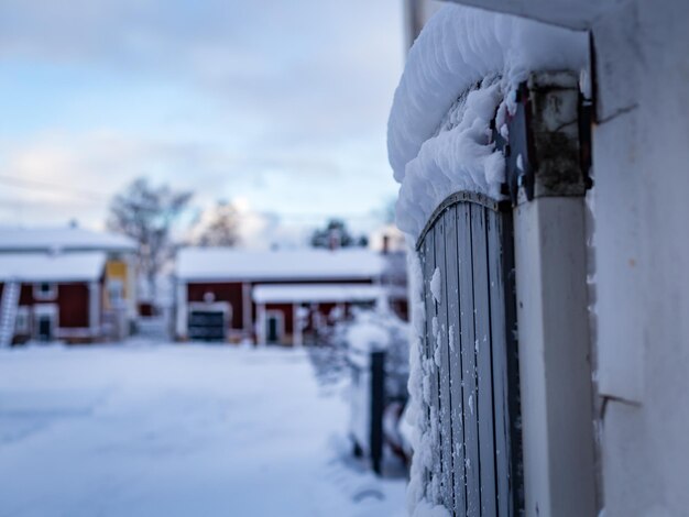 Foto sneeuwbedekte bomen in de winter