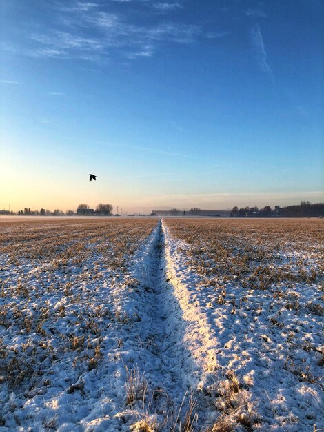 Sneeuwbedekte landweg tegen de lucht tijdens de winter