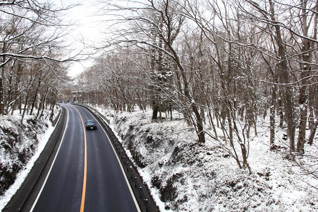 Sneeuwbedekte weg tussen bomen tijdens de winter