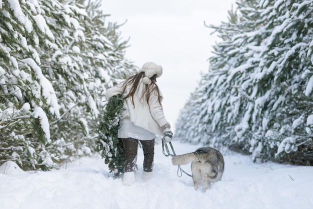 Sneeuwhond Husky in de sneeuw op de achtergrond van het bos besneeuwde bos en hond