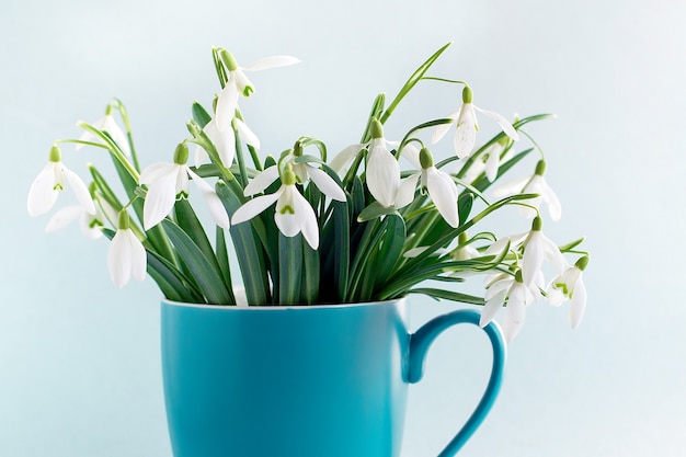 Sneeuwklokjes in een kopje. Lente gevoel.