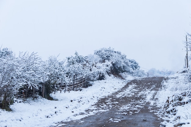 Sneeuwlandschap in de Calamuchita-vallei, Cordoba, Argentinië