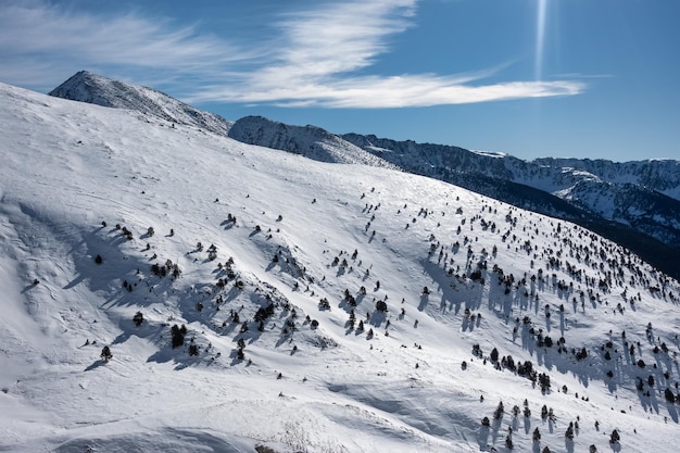 Sneeuwlandschap met bomen en hoge bergen in de bergketen van de Pyreneeën Andorra