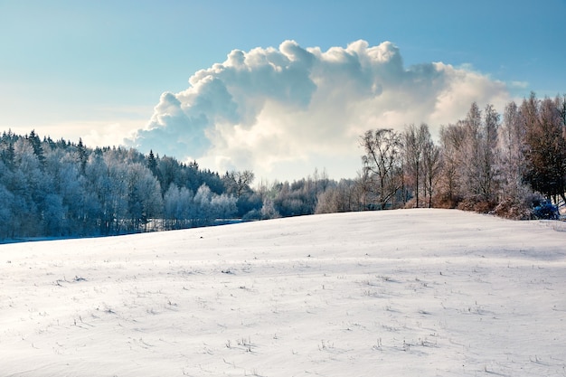 Sneeuwlandschap met bos en grote luchtwolk op blauwe hemel