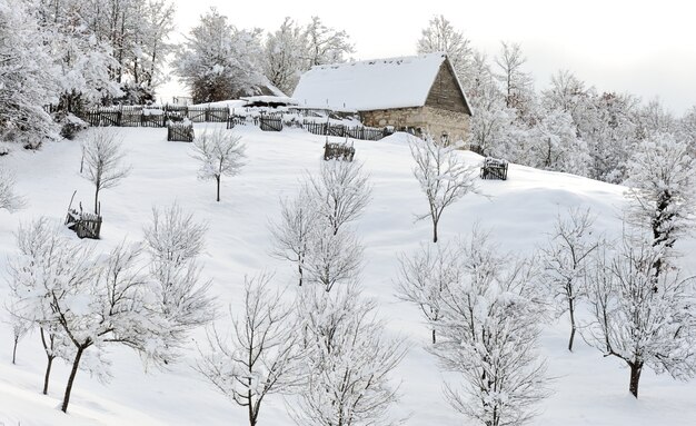 sneeuwlandschap