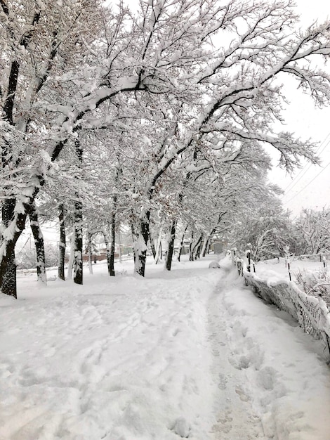 Sneeuwlandschapsfotografie