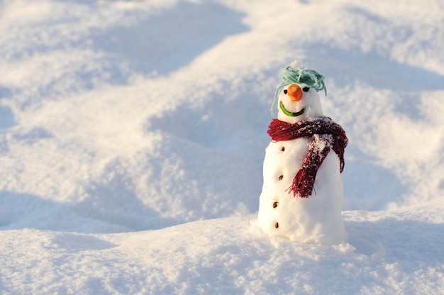 Sneeuwman voor de winterkerstmis