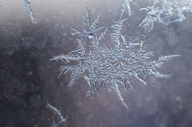 Sneeuwpatroon op het glas van vorst