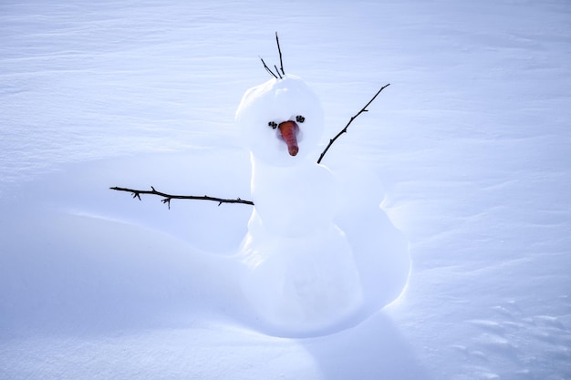 Sneeuwpop in de sneeuw tijdens de winter