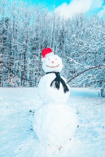 Sneeuwpop in het centrum van bevroren stadspark