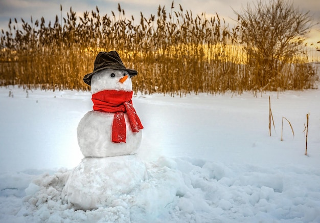 Sneeuwpop in muts in rode sjaal bij zonsondergang