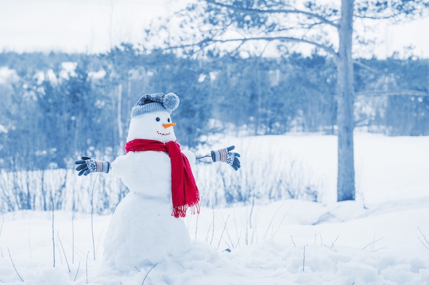 Sneeuwpop in rode sjaal in bos