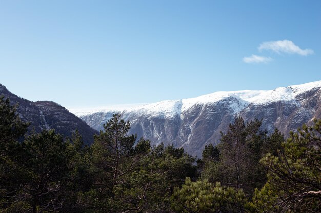 Foto sneeuwrijke bergen van noorwegen geweldig uitzicht op de bergen