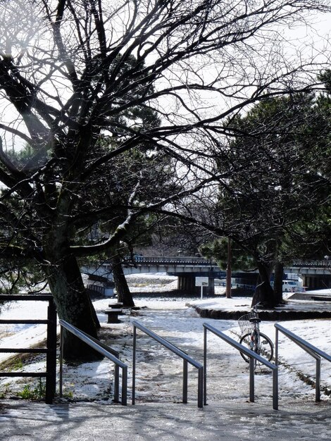 Sneeuwscène bij Shimogamo-schrijn in Kyoto