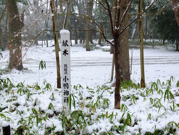 Sneeuwscène bij Shimogamo-schrijn in Kyoto