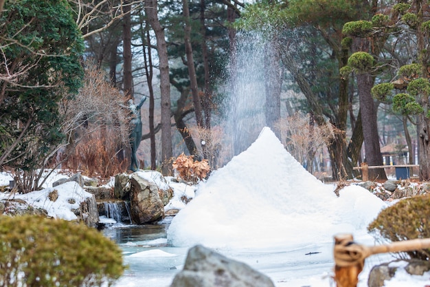 sneeuwseizoen op het park Korea van het namipantoor