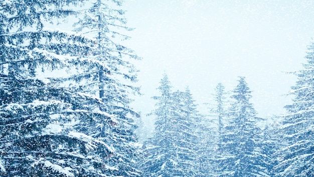 Sneeuwval in de winter in het bos zachte besneeuwde kerstochtend met vallende sneeuw Winterlandschap Met sneeuw bedekte bomen