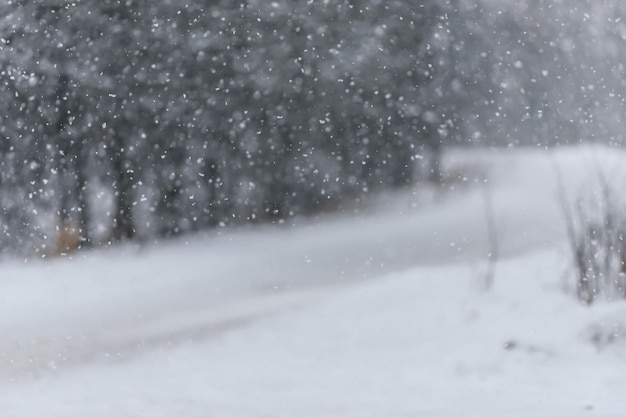 Foto sneeuwval in de winter winterdag vallende sneeuw op een wazige natuurachtergrond