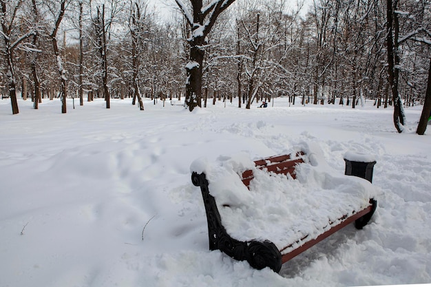 Sneeuwval in Moskou. Met sneeuw bedekte bankjes in het park...