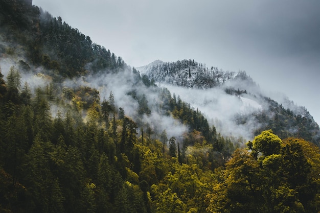 Sneeuwval in Rara National Park Mugu Nepal