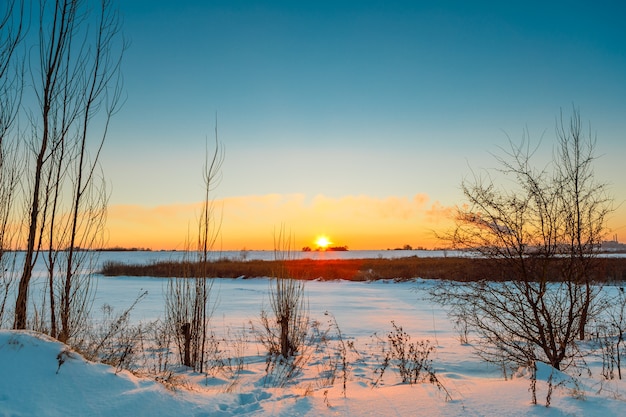 Sneeuwveld in zonnige winterdag