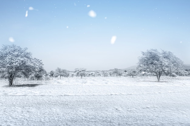 Sneeuwveld met een blauwe hemelachtergrond