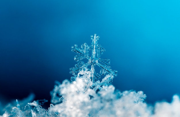 sneeuwvlok, kleine sneeuwvlok in de sneeuw