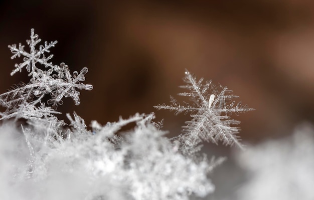 sneeuwvlok, kleine sneeuwvlok in de sneeuw