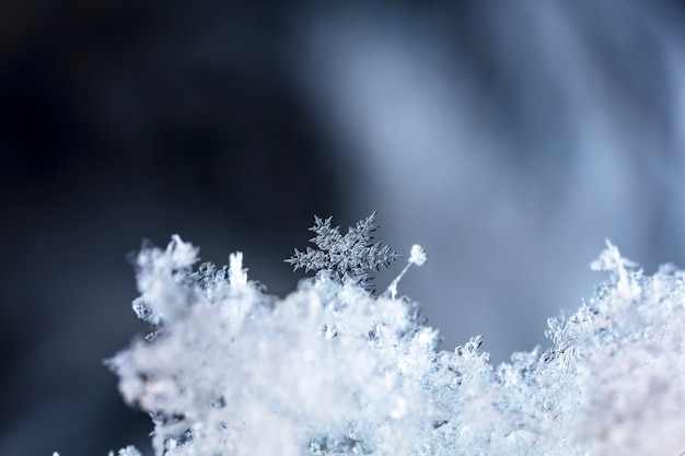 Foto sneeuwvlok op natuurlijke sneeuwjacht close-up kerstmis en winterachtergrond