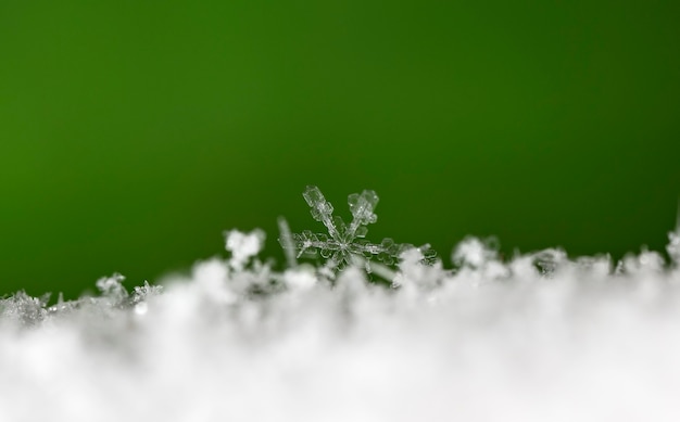 Sneeuwvlok op natuurlijke sneeuwjacht Close-up Kerstmis en winterachtergrond