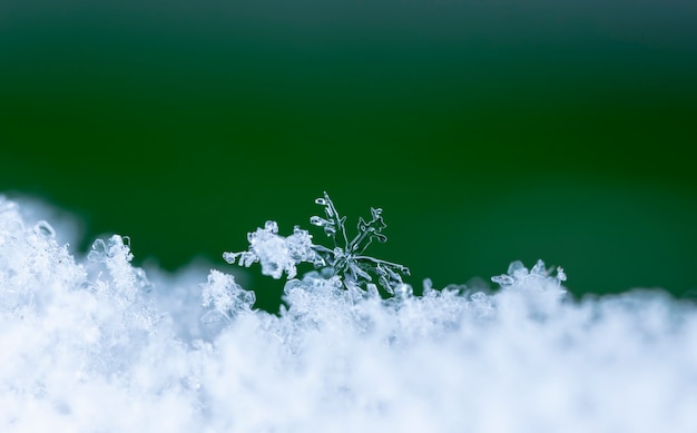 Sneeuwvlok op natuurlijke sneeuwjacht Close-up Kerstmis en winterachtergrond