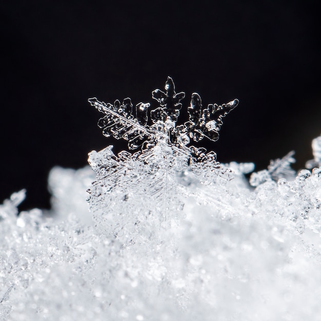 Sneeuwvlok op natuurlijke sneeuwjacht Close-up Kerstmis en winterachtergrond