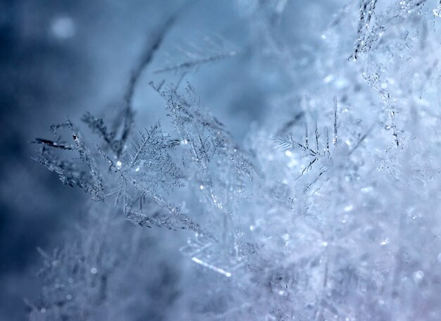 Sneeuwvlok op sneeuw Wintervakantie en kerstachtergrond