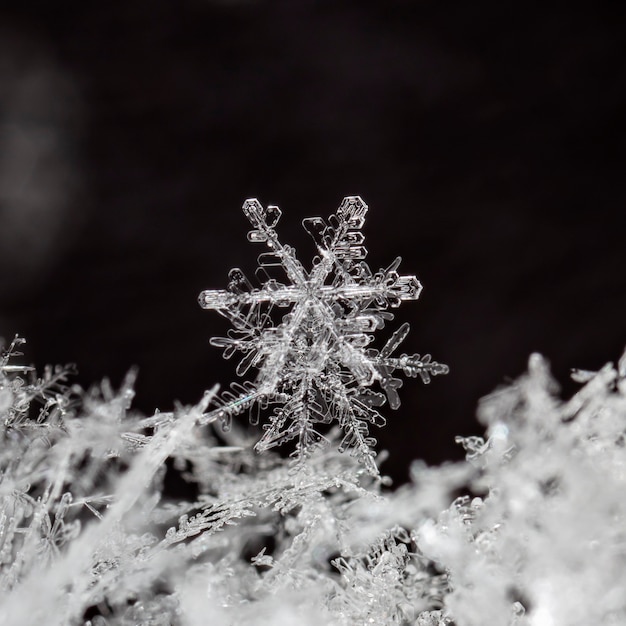 Sneeuwvlok op sneeuw Wintervakantie en kerstachtergrond