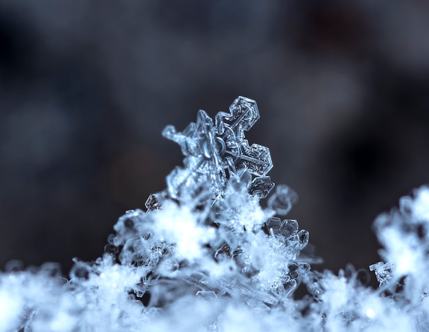 Sneeuwvlok op sneeuw Wintervakantie en kerstachtergrond