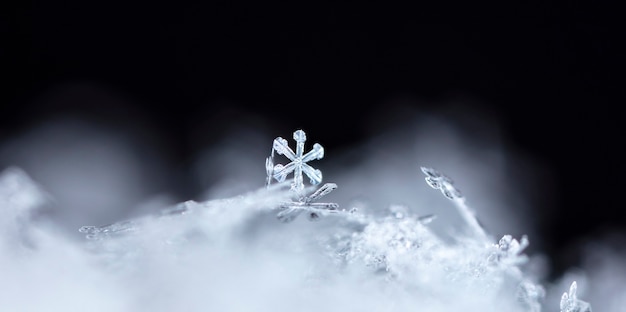 Sneeuwvlok op sneeuw. Wintervakantie en kerstachtergrond