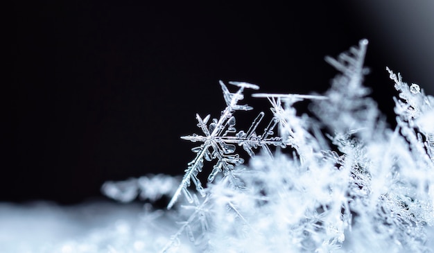 Sneeuwvlok op sneeuw. Wintervakantie en kerstachtergrond