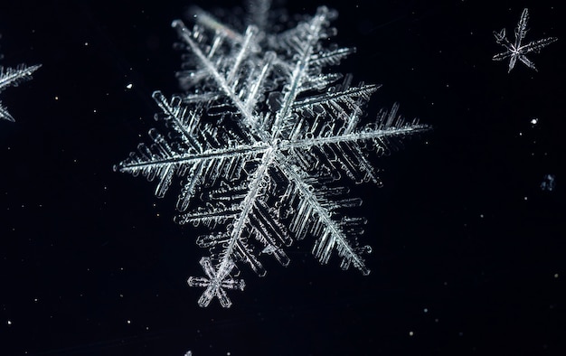 Sneeuwvlokken tijdens een sneeuwval