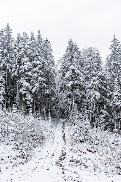 Sneeuwweer in de bergen