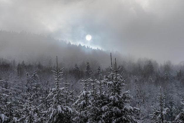 Sneeuwweer in de bergen