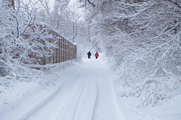 Sneeuwwegmensen van achteren