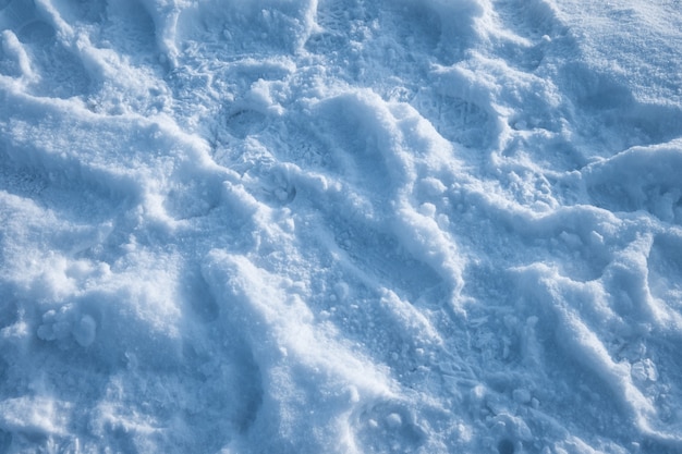 Sneeuwwitje met zonlicht bedekt in de winter